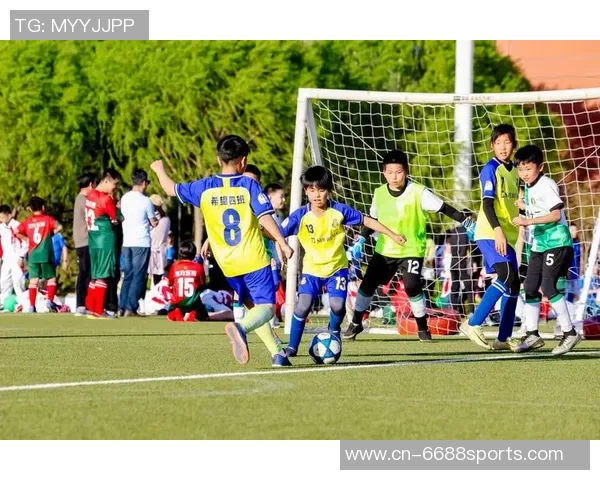 足球场上的激情瞬间与技巧展示足球踢足球的精彩特写解析