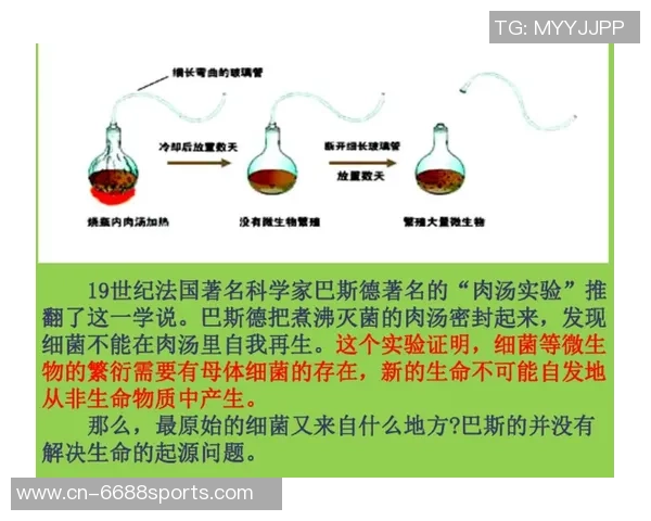 足球发展历程概述从起源到现代的演变与影响